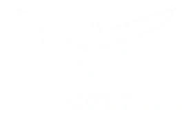 Bicicletas Faucon